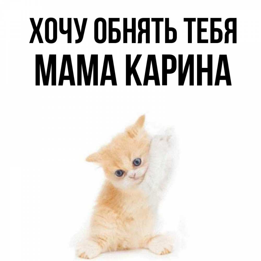 Хочу карину