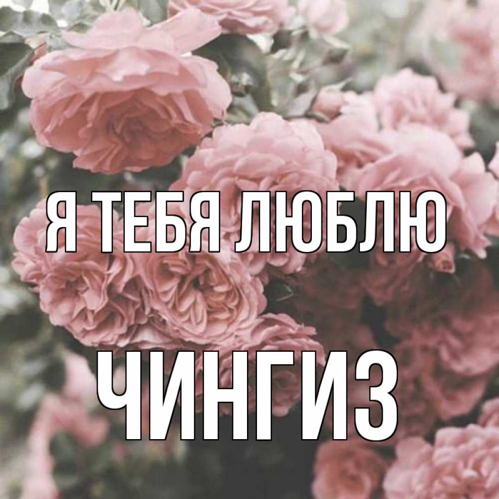 Открытка на каждый день с именем, Чингиз Я тебя люблю розы 3 Прикольная открытка с пожеланием онлайн скачать бесплатно 