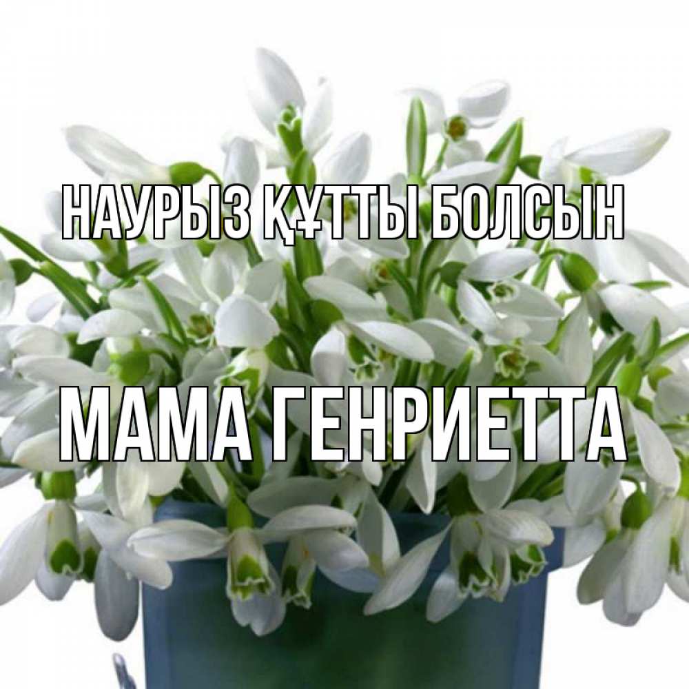 Открытка на каждый день с именем, Мама-Генриетта Наурыз құтты болсын цветы к наурызу Прикольная открытка с пожеланием онлайн скачать бесплатно 