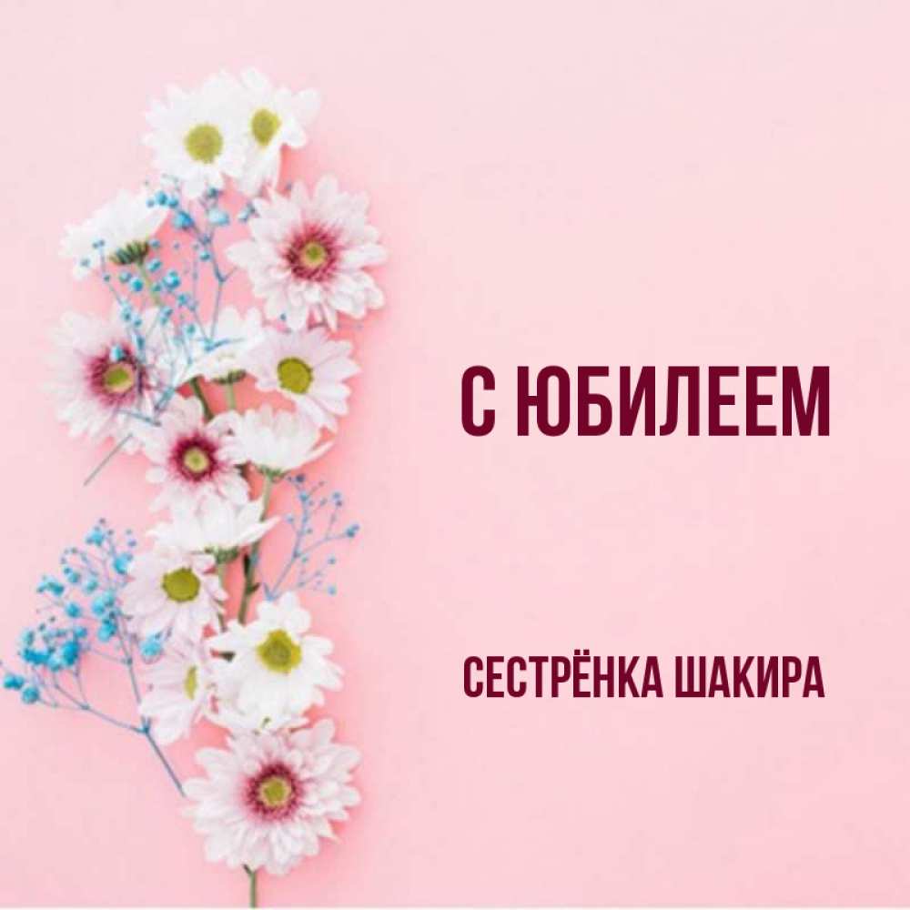 Открытка на каждый день с именем, Сестрёнка-Шакира С юбилеем Родная моя с днем рождения тебя картинка с цветами белыми и голубыми Прикольная открытка с пожеланием онлайн скачать бесплатно 