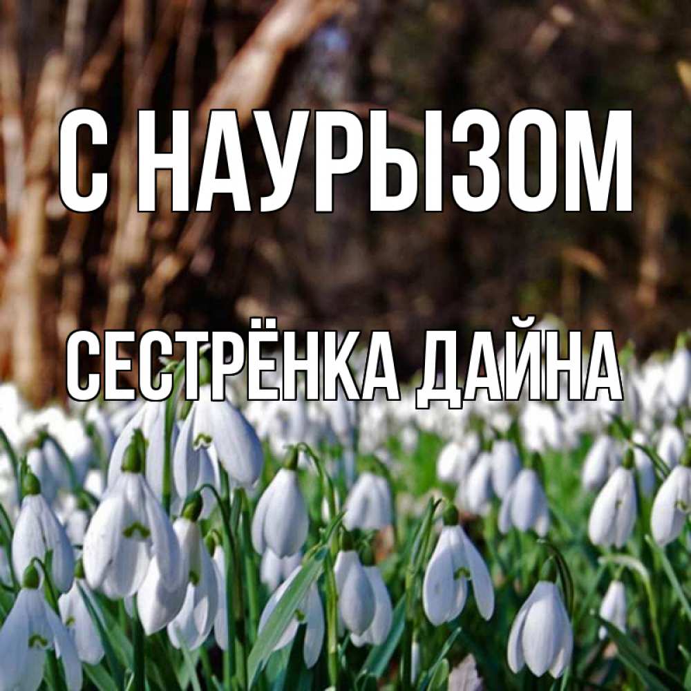 Открытка на каждый день с именем, Сестрёнка-Дайна С наурызом с подснежниками 1 Прикольная открытка с пожеланием онлайн скачать бесплатно 