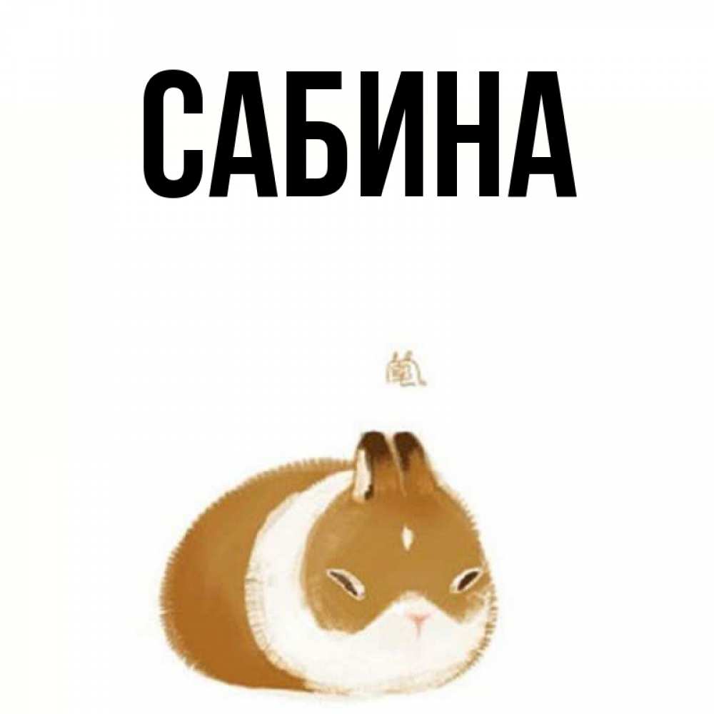 Открытка на каждый день с именем, Сабина Главная коричнево белый домашний питомец Прикольная открытка с пожеланием онлайн скачать бесплатно 