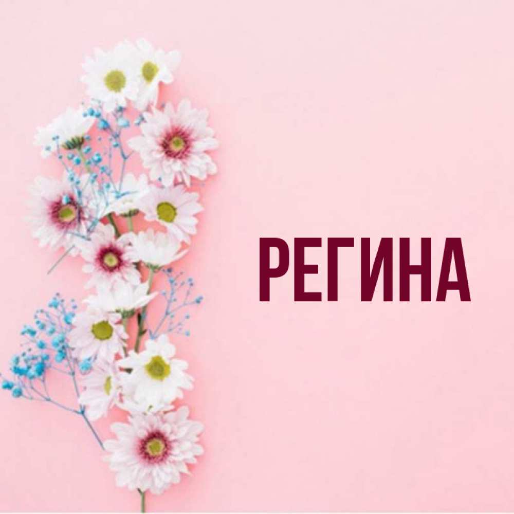 Фото с днем рождения регина