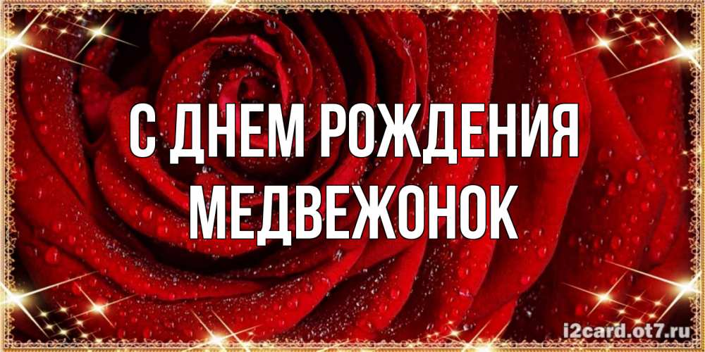 Открытка на каждый день с именем, Медвежонок С днем рождения роса на розе блестящая в лучах солнца Прикольная открытка с пожеланием онлайн скачать бесплатно 