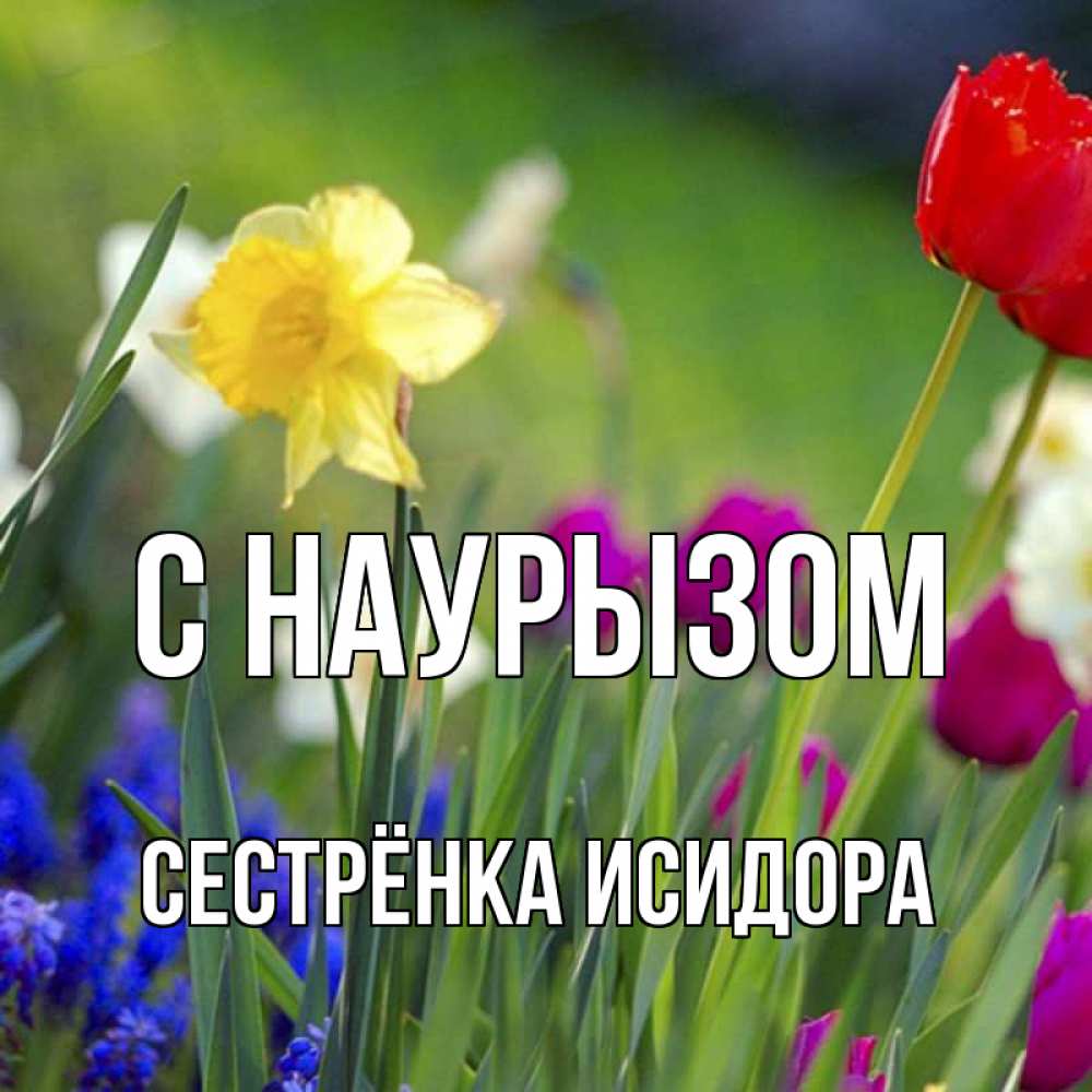 Открытка на каждый день с именем, Сестрёнка-Исидора С наурызом праздник весны наурыз 3 Прикольная открытка с пожеланием онлайн скачать бесплатно 