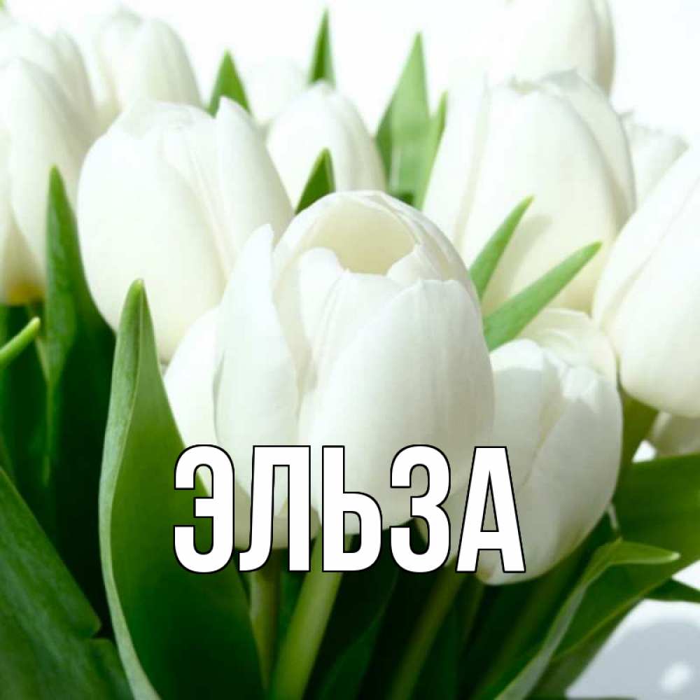 Картинка  с именем , Эльза