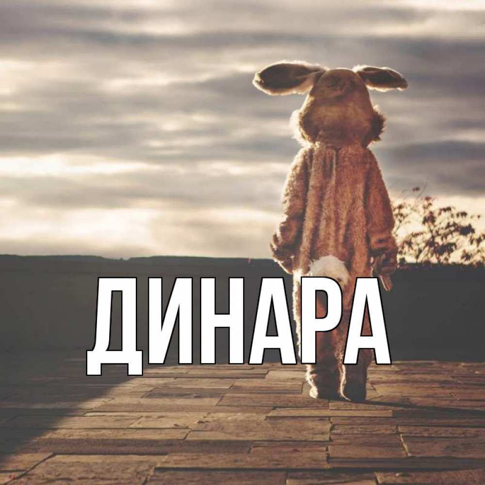 Открытка на каждый день с именем, Динара Главная со спины Прикольная открытка с пожеланием онлайн скачать бесплатно 