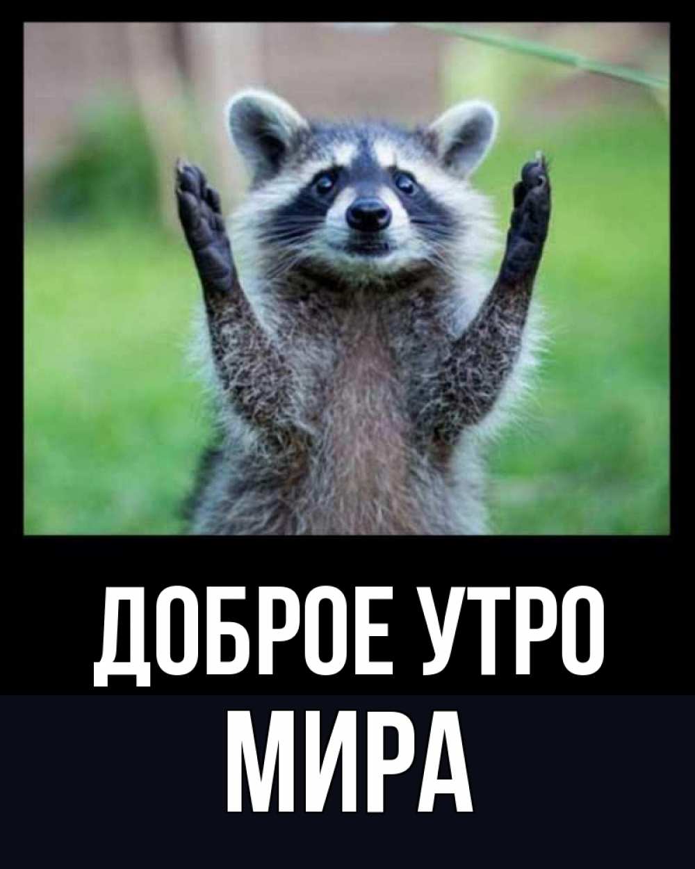 Открытка на каждый день с именем, Мира Доброе утро хорошее настроение утречком Прикольная открытка с пожеланием онлайн скачать бесплатно 