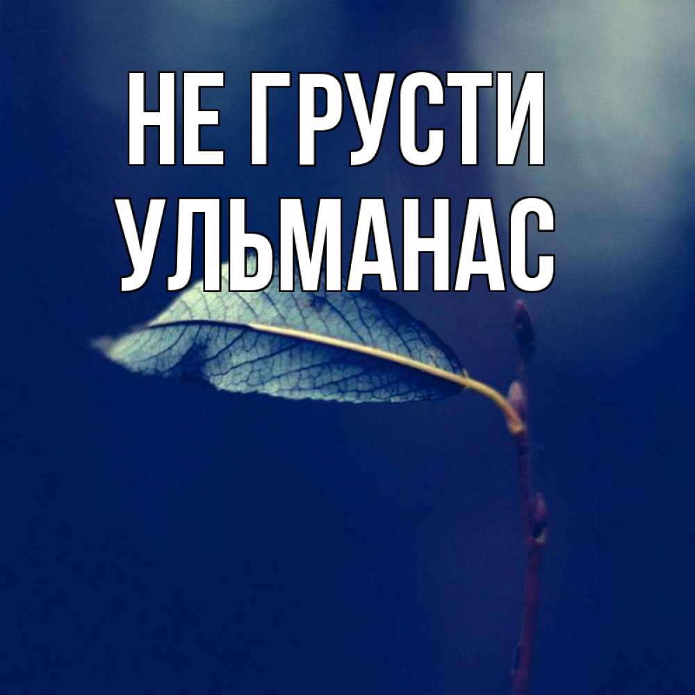 Открытка на каждый день с именем, Ульманас Не грусти растение Прикольная открытка с пожеланием онлайн скачать бесплатно 