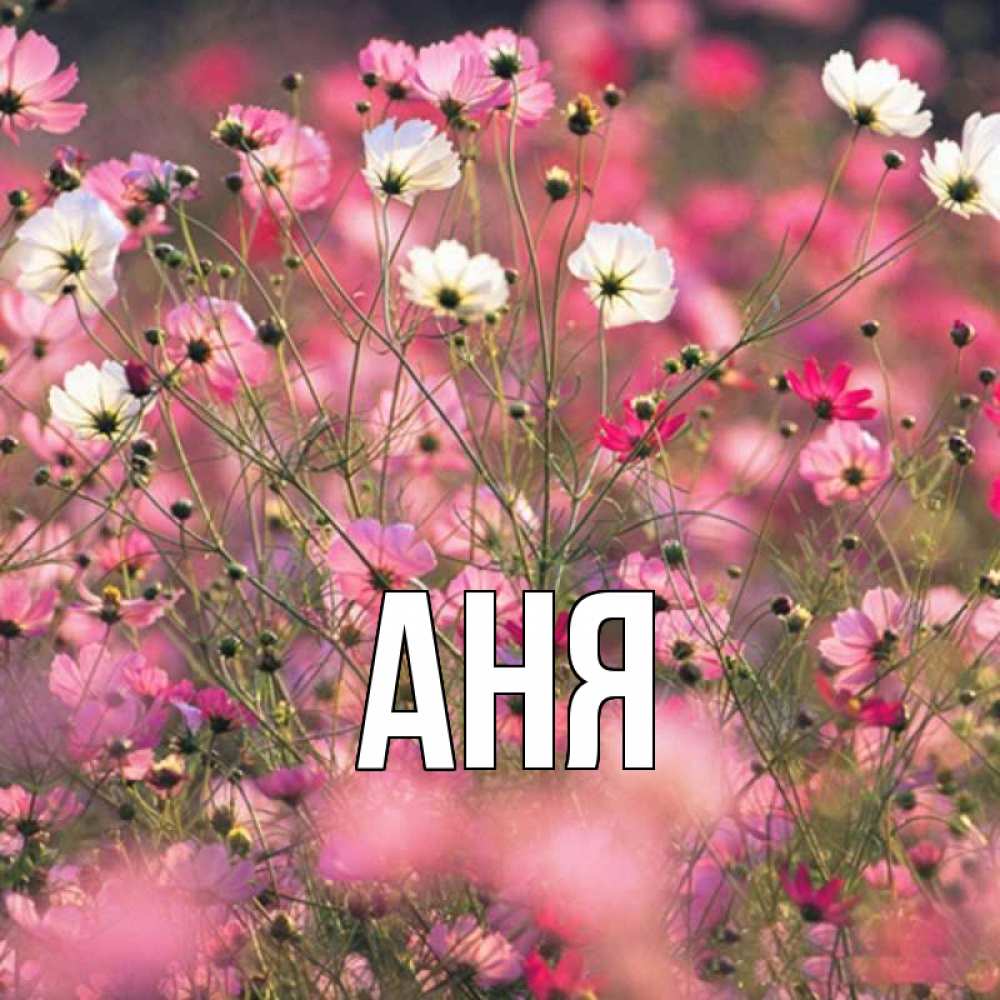 Открытки именем аня