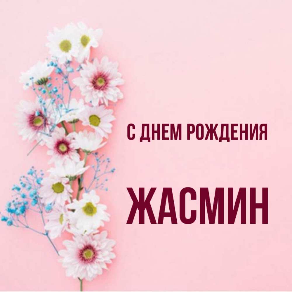 С днем рождения жасмина картинки