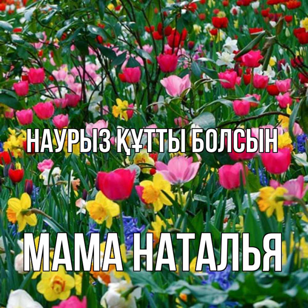 Открытка на каждый день с именем, Мама-Наталья Наурыз құтты болсын с наурызом поздравления для женщины Прикольная открытка с пожеланием онлайн скачать бесплатно 