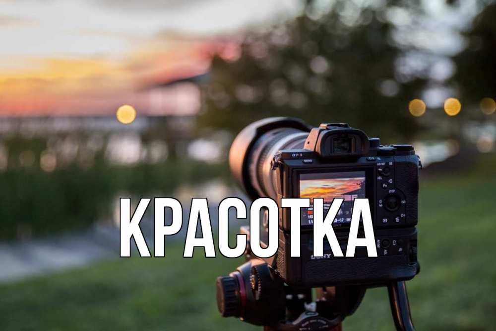 Открытка на каждый день с именем, красотка Главная с днем фотографа Прикольная открытка с пожеланием онлайн скачать бесплатно 