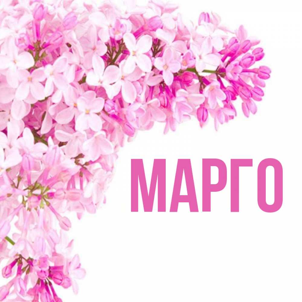 Марго с днем рождения картинки