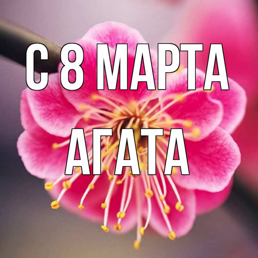 Открытка на каждый день с именем, Агата С 8 МАРТА цветы Прикольная открытка с пожеланием онлайн скачать бесплатно 