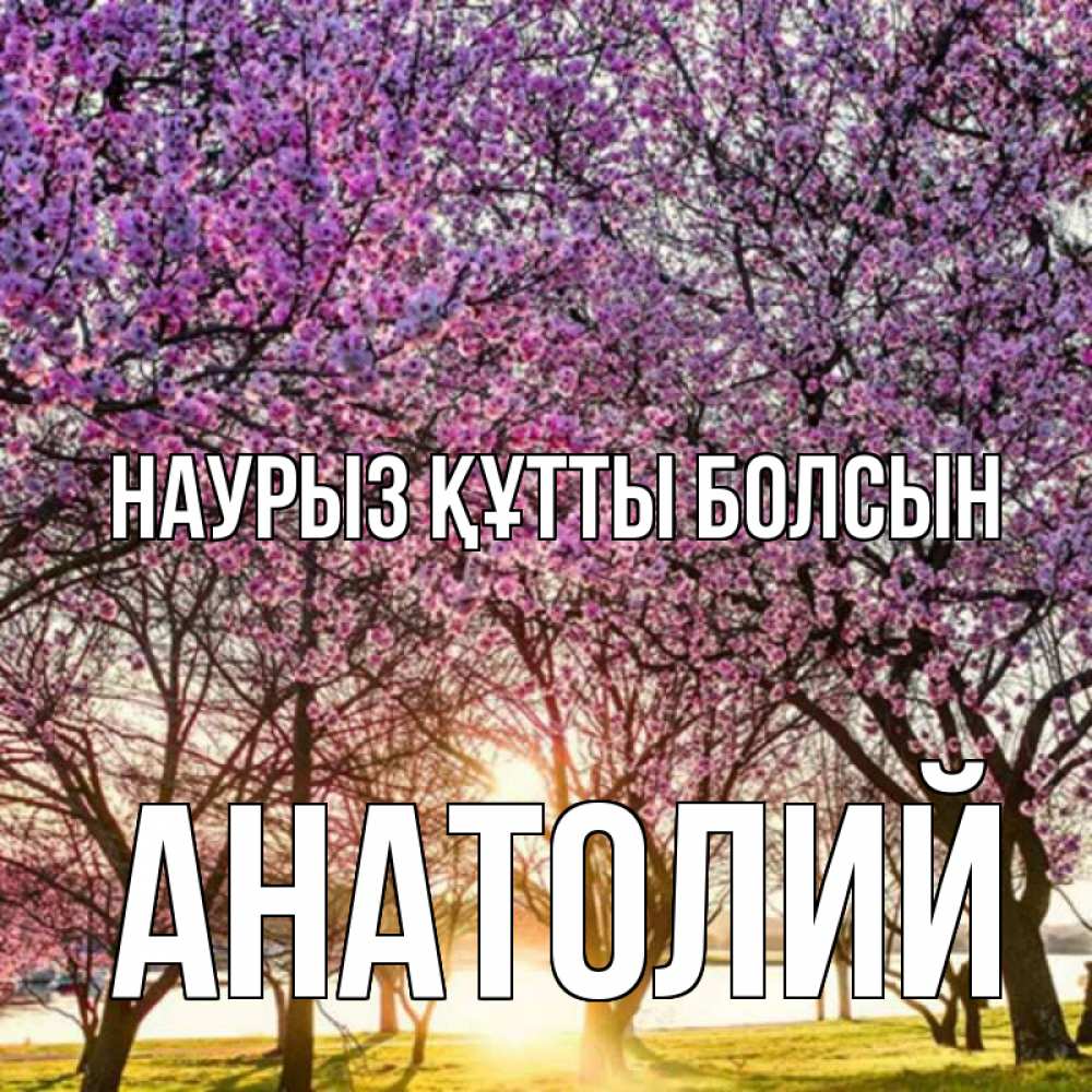 Открытка на каждый день с именем, Анатолий Наурыз құтты болсын наурыз Прикольная открытка с пожеланием онлайн скачать бесплатно 