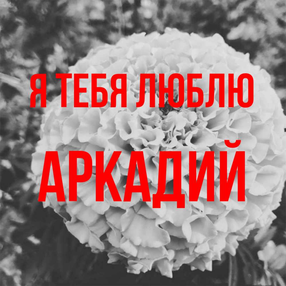 Открытка на каждый день с именем, Аркадий Я тебя люблю подпись Прикольная открытка с пожеланием онлайн скачать бесплатно 