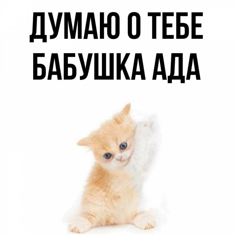 Открытка на каждый день с именем, Бабушка-Ада Думаю о тебе зверушки и милота Прикольная открытка с пожеланием онлайн скачать бесплатно 