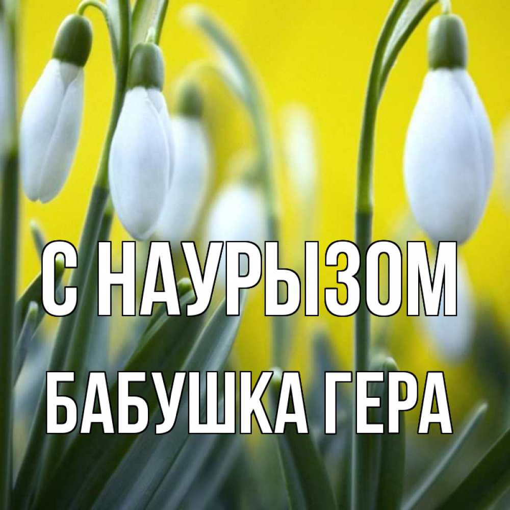 Открытка на каждый день с именем, Бабушка-Гера С наурызом весенние цветы Прикольная открытка с пожеланием онлайн скачать бесплатно 