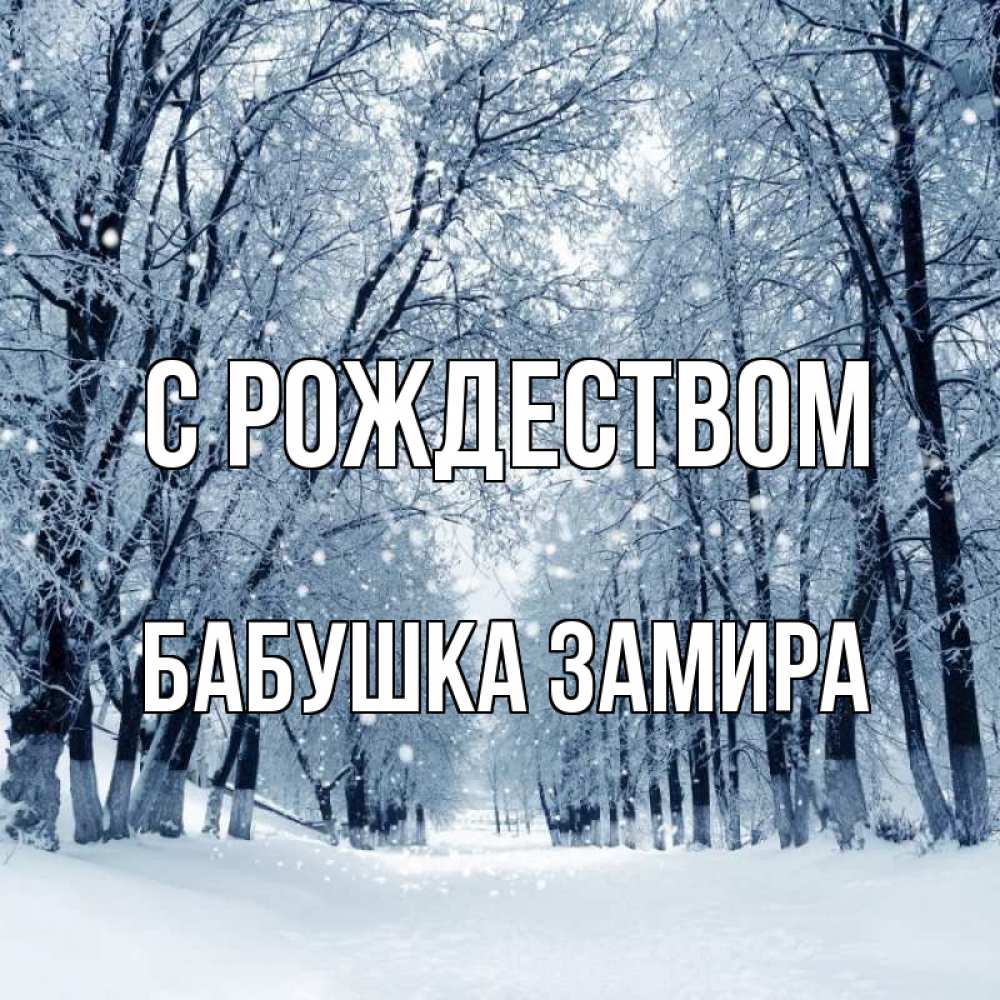 Открытка на каждый день с именем, Бабушка-Замира С рождеством снег, лес, парк Прикольная открытка с пожеланием онлайн скачать бесплатно 