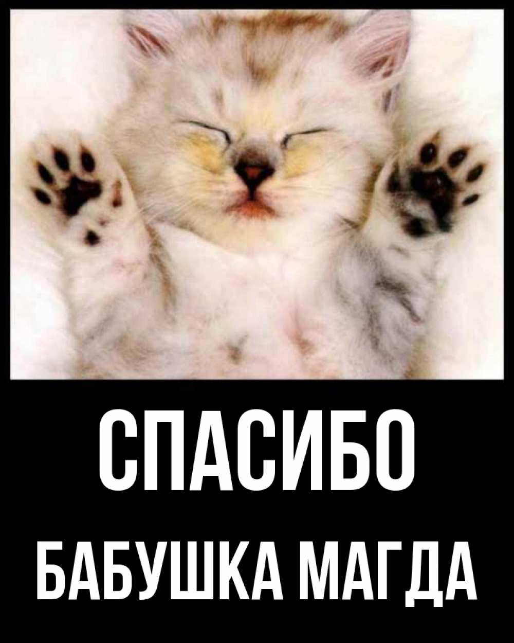 Открытка на каждый день с именем, Бабушка-Магда Спасибо маленький котенок Прикольная открытка с пожеланием онлайн скачать бесплатно 