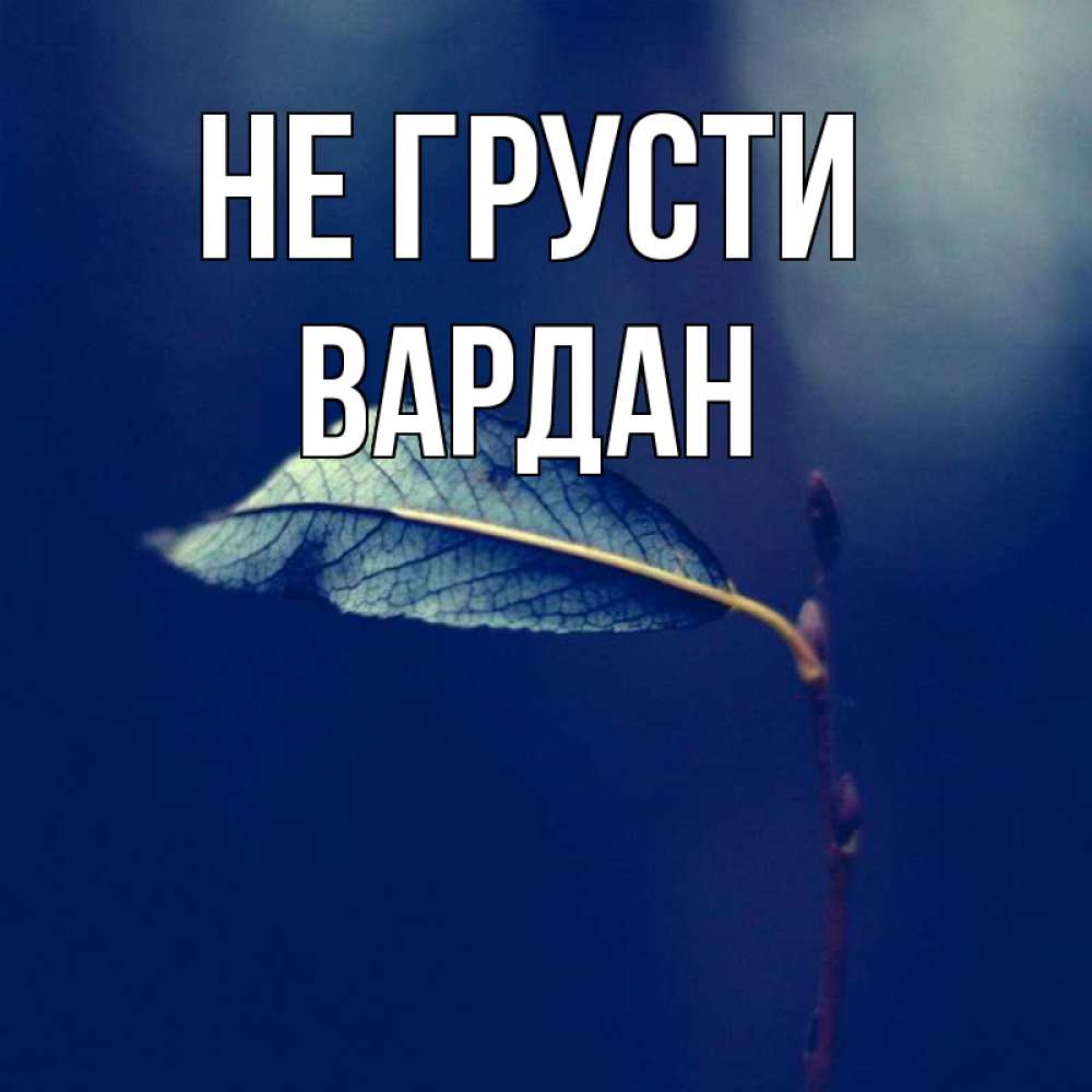 Открытка на каждый день с именем, Вардан Не грусти растение Прикольная открытка с пожеланием онлайн скачать бесплатно 