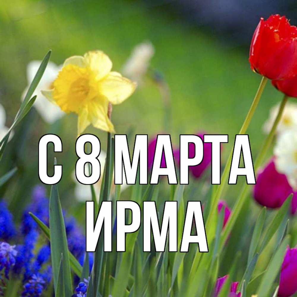 Открытка на каждый день с именем, Ирма С 8 МАРТА международный женский день 3 Прикольная открытка с пожеланием онлайн скачать бесплатно 