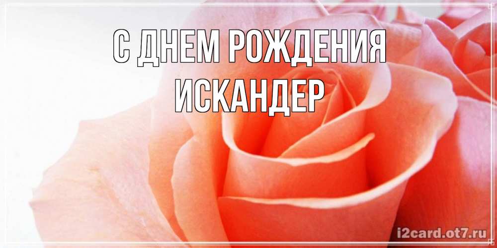 Открытка на каждый день с именем, Искандер С днем рождения розы для поздравления с днем рождения Прикольная открытка с пожеланием онлайн скачать бесплатно 
