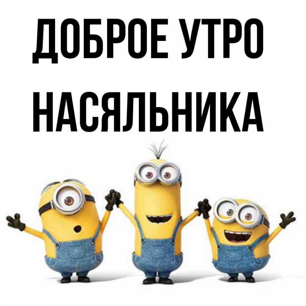 Открытка на каждый день с именем, Насяльника Доброе утро бодренького утра Прикольная открытка с пожеланием онлайн скачать бесплатно 