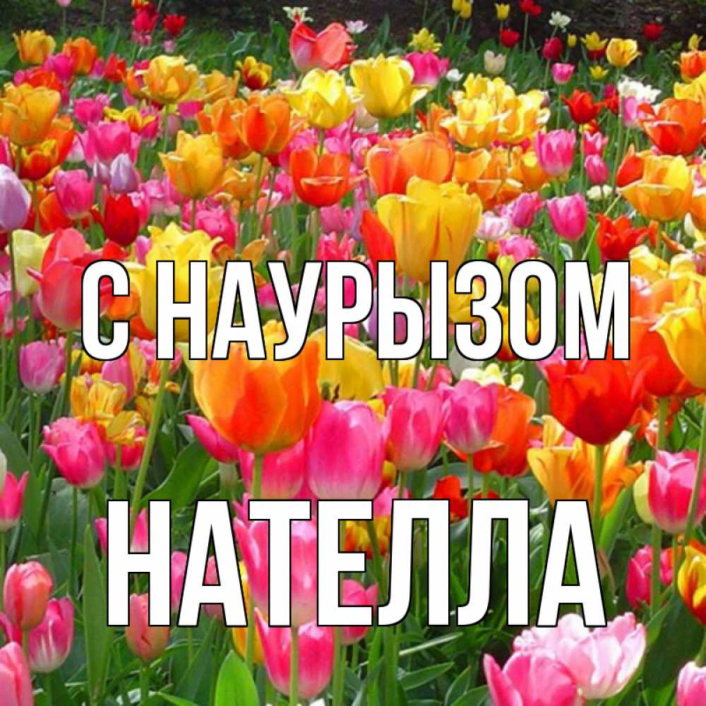 Открытка на каждый день с именем, Нателла С наурызом праздник весны наурыз 4 Прикольная открытка с пожеланием онлайн скачать бесплатно 
