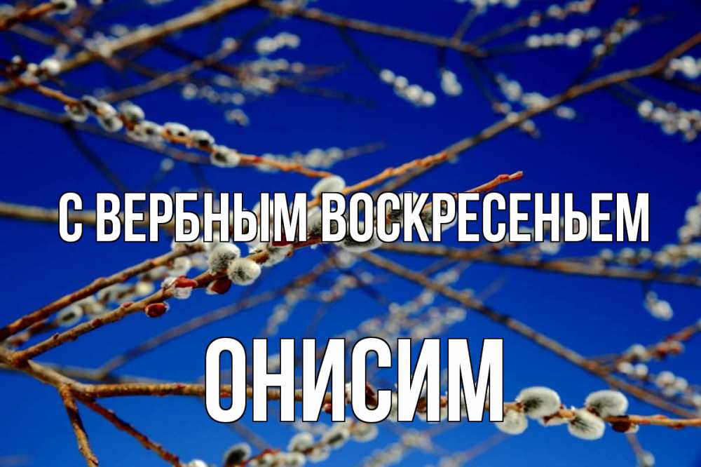 Открытка на каждый день с именем, Онисим С вербным воскресеньем верба Прикольная открытка с пожеланием онлайн скачать бесплатно 