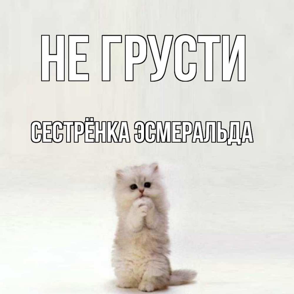 Открытка на каждый день с именем, Сестрёнка-Эсмеральда Не грусти грустный кот Прикольная открытка с пожеланием онлайн скачать бесплатно 