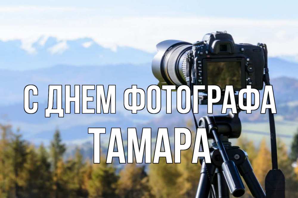 Открытка на каждый день с именем, Тамара С днем фотографа с днем фотографа Прикольная открытка с пожеланием онлайн скачать бесплатно 