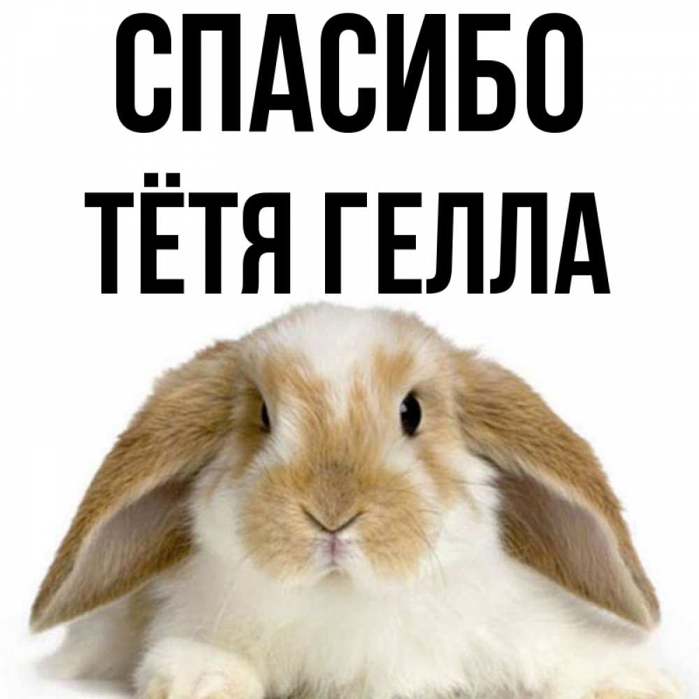 Открытка на каждый день с именем, Тётя-Гелла Спасибо коричнево белый заяц Прикольная открытка с пожеланием онлайн скачать бесплатно 