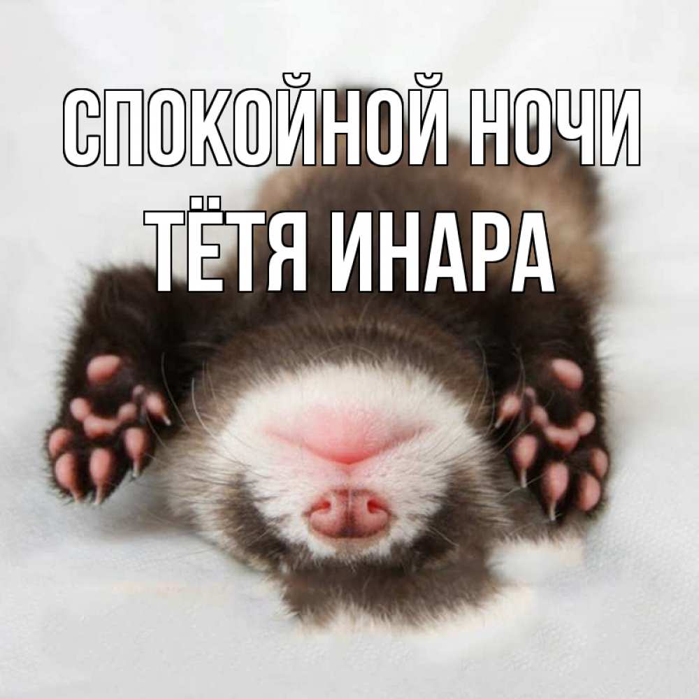 Открытка на каждый день с именем, Тётя-Инара Спокойной ночи зверек Прикольная открытка с пожеланием онлайн скачать бесплатно 