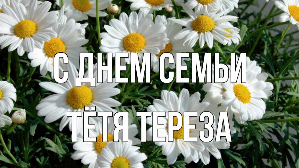 Открытка на каждый день с именем, Тётя-Тереза С днем семьи с днем семьи Прикольная открытка с пожеланием онлайн скачать бесплатно 