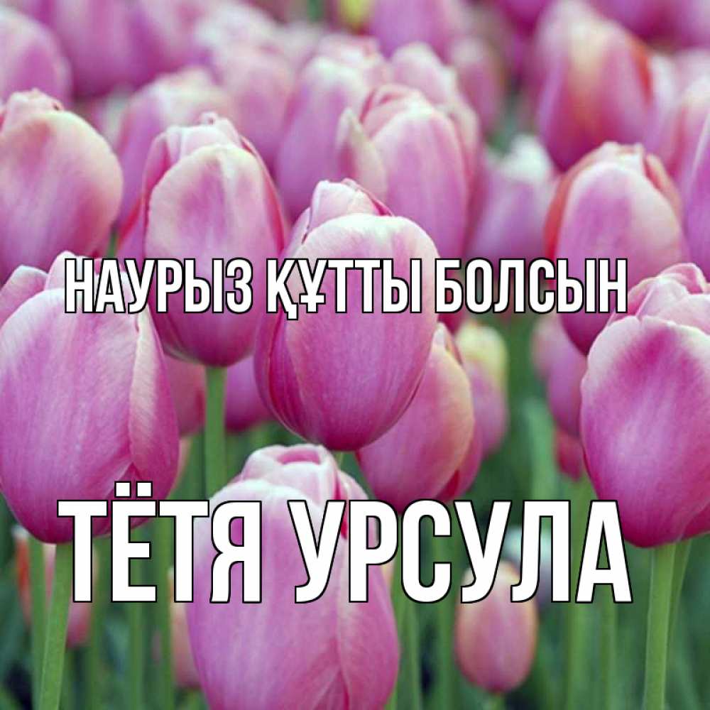 Открытка на каждый день с именем, Тётя-Урсула Наурыз құтты болсын на наурыз  день 3 Прикольная открытка с пожеланием онлайн скачать бесплатно 