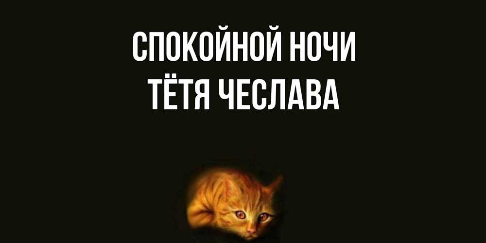 Открытка на каждый день с именем, Тётя-Чеслава Спокойной ночи кот Прикольная открытка с пожеланием онлайн скачать бесплатно 