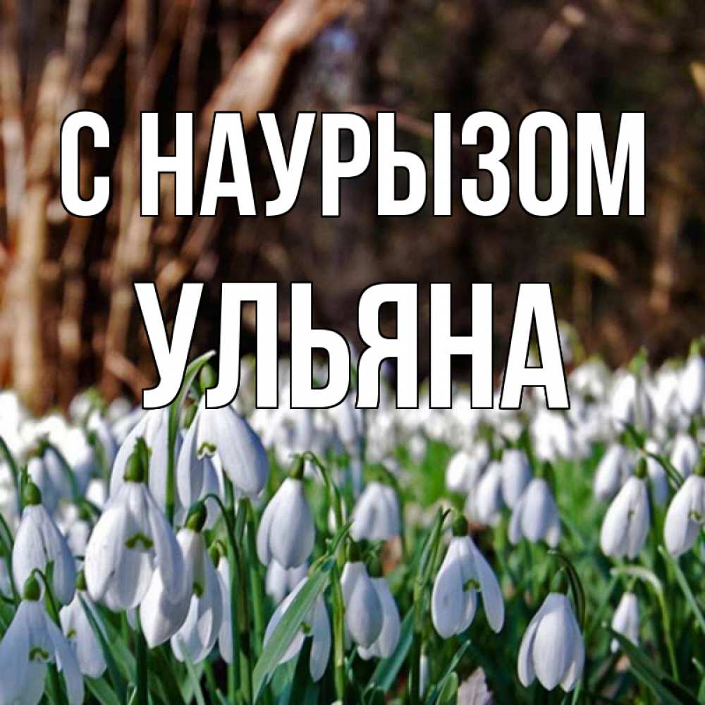 Открытка на каждый день с именем, Ульяна С наурызом с подснежниками 1 Прикольная открытка с пожеланием онлайн скачать бесплатно 