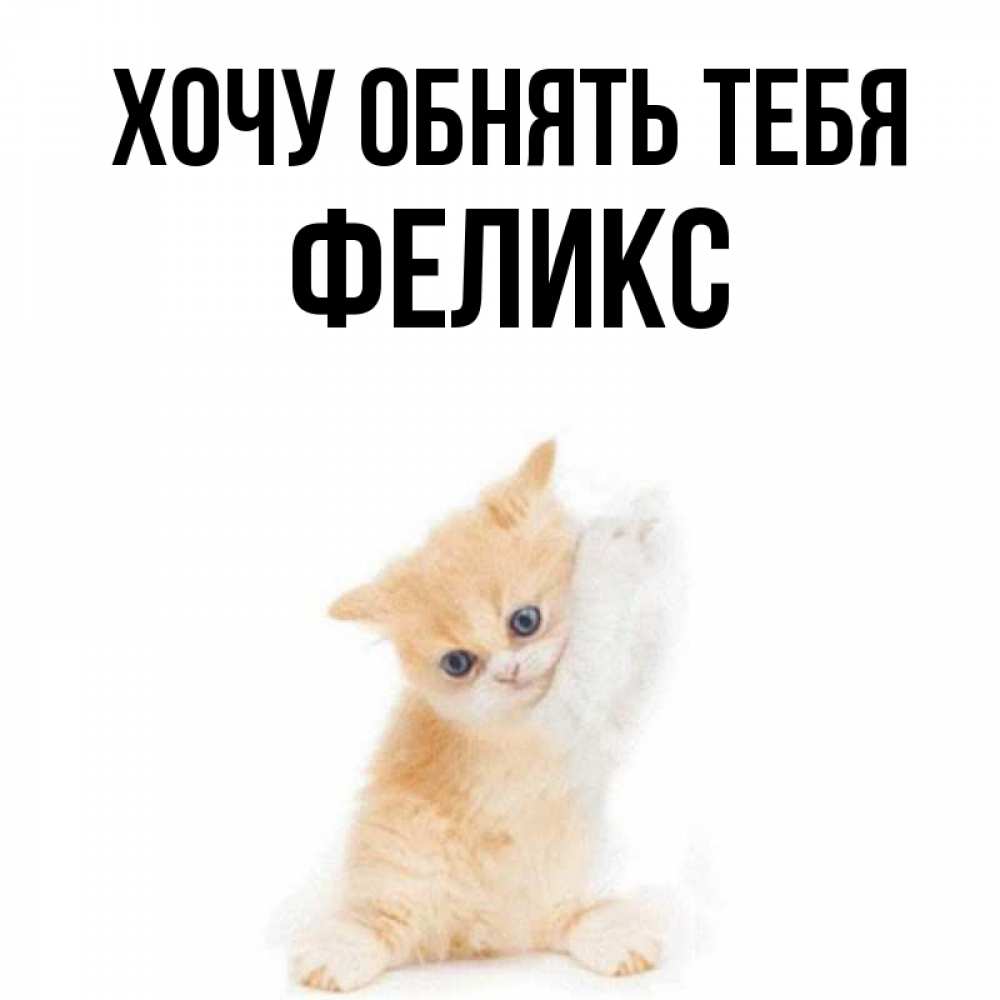 Открытка на каждый день с именем, Феликс Хочу обнять тебя я хочу очень скорее обнимаешек Прикольная открытка с пожеланием онлайн скачать бесплатно 