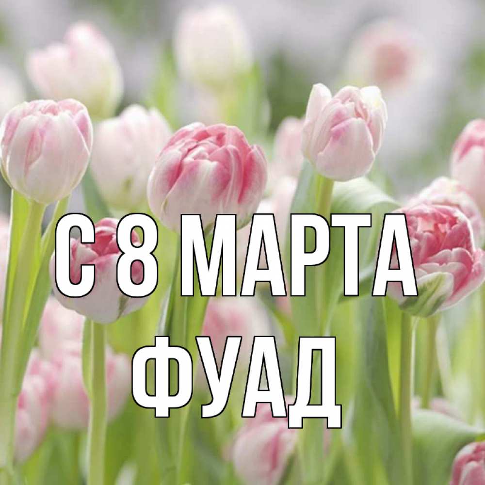 Открытка на каждый день с именем, Фуад С 8 МАРТА цветы Прикольная открытка с пожеланием онлайн скачать бесплатно 