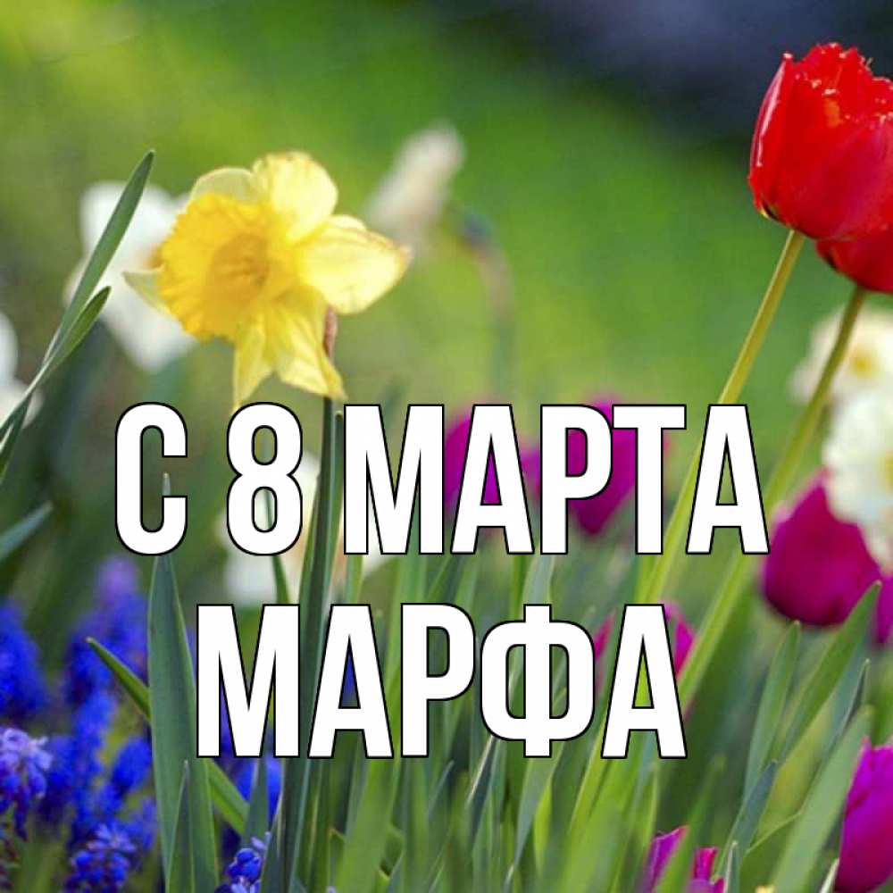 Открытка на каждый день с именем, Марфа С 8 МАРТА международный женский день 3 Прикольная открытка с пожеланием онлайн скачать бесплатно 