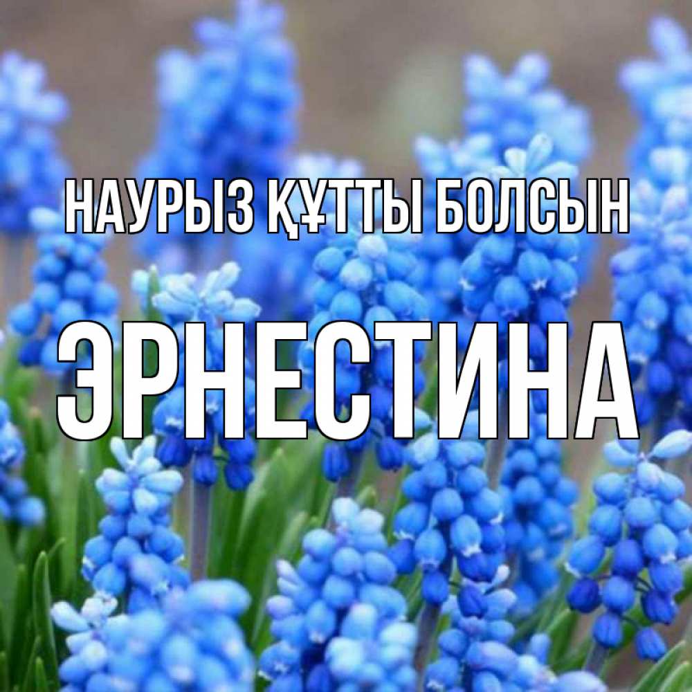 Открытка на каждый день с именем, Эрнестина Наурыз құтты болсын Поздравительная открытка для женщин с цветами на праздничную дату Прикольная открытка с пожеланием онлайн скачать бесплатно 