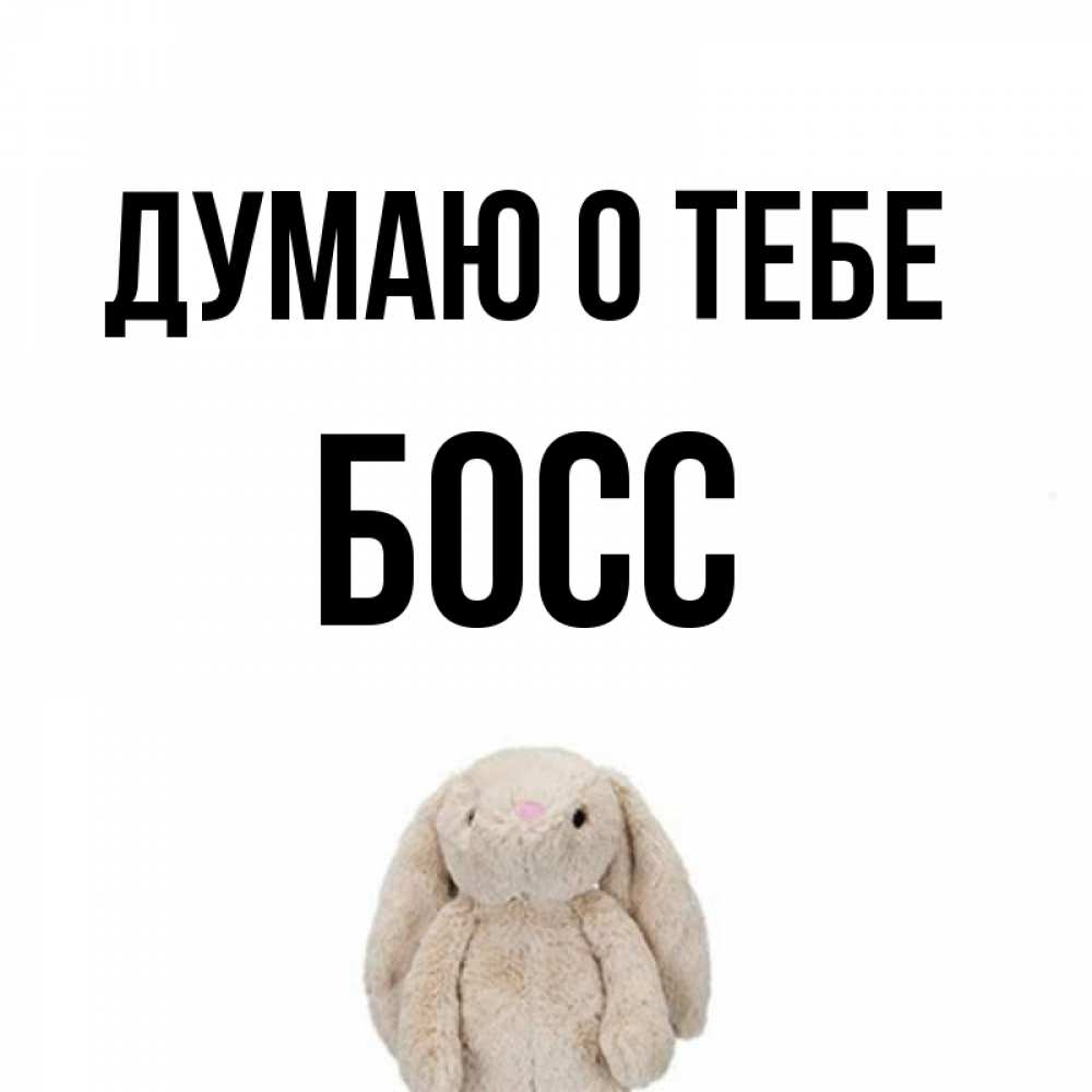 Картинка да босс