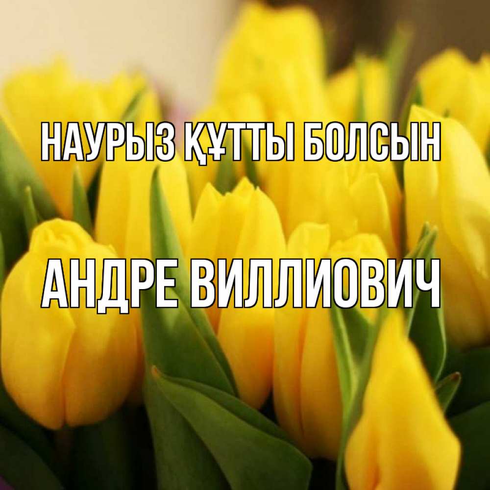 Открытка на каждый день с именем, Андре-Виллиович Наурыз құтты болсын цветы Прикольная открытка с пожеланием онлайн скачать бесплатно 