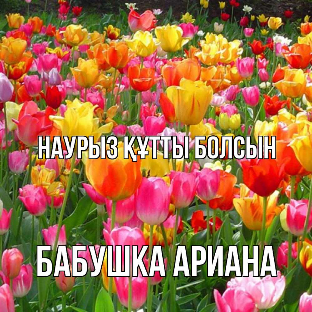 Открытка на каждый день с именем, Бабушка-Ариана Наурыз құтты болсын на наурыз  ура ура Прикольная открытка с пожеланием онлайн скачать бесплатно 