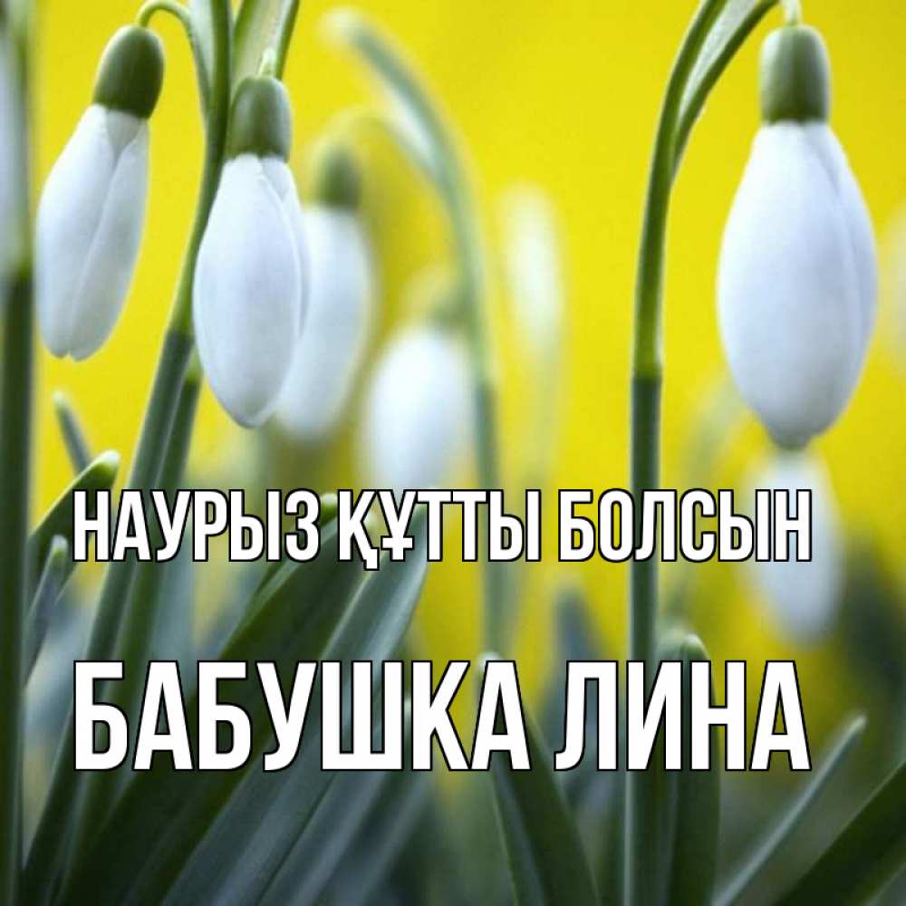 Открытка на каждый день с именем, Бабушка-Лина Наурыз құтты болсын весенние цветы Прикольная открытка с пожеланием онлайн скачать бесплатно 