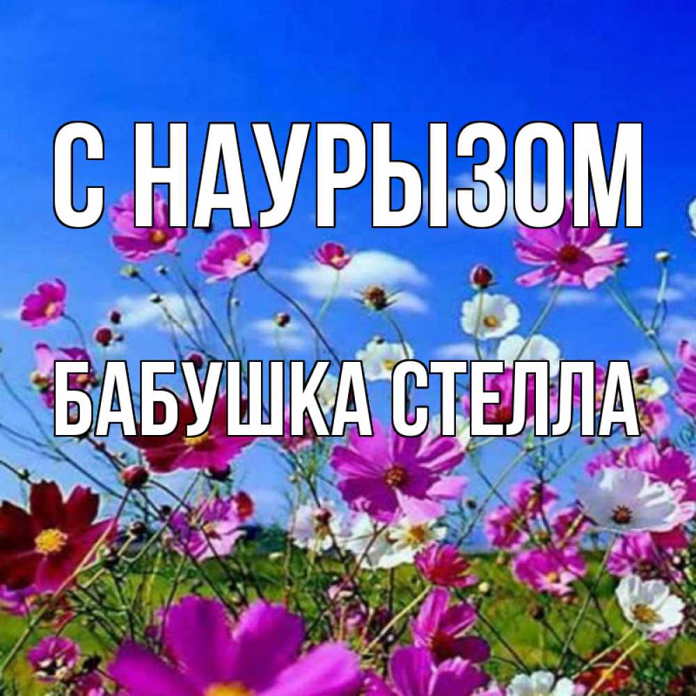 Открытка на каждый день с именем, Бабушка-Стелла С наурызом цветы Прикольная открытка с пожеланием онлайн скачать бесплатно 