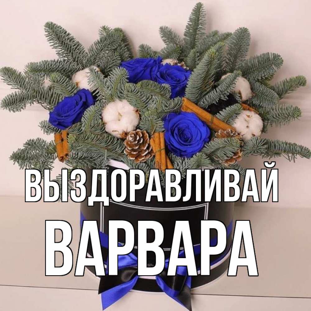 Открытка на каждый день с именем, Варвара Выздоравливай короче кто то загрузил эти шишки Прикольная открытка с пожеланием онлайн скачать бесплатно 