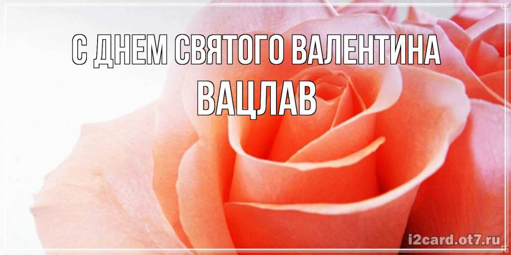 Открытка на каждый день с именем, Вацлав С днем Святого Валентина открытка на день Святого Валентина с розовой розой Прикольная открытка с пожеланием онлайн скачать бесплатно 